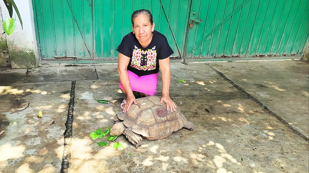 uma el iguanero_mazatan_chiapas_cortesía fb